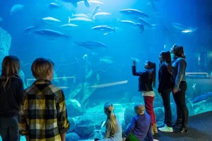 Science Club Universeum