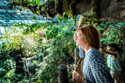 En familj står och blickar ut över Regnskogen