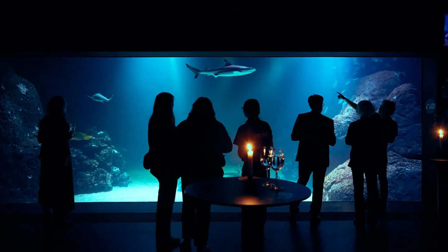 Ett företag är på ett arrangemang på Universeum. De står och tar ett glas vin framför oceantanken inne i Akvariehall.en